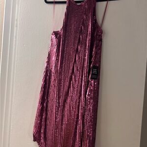 Express Mauve Sequin Dress